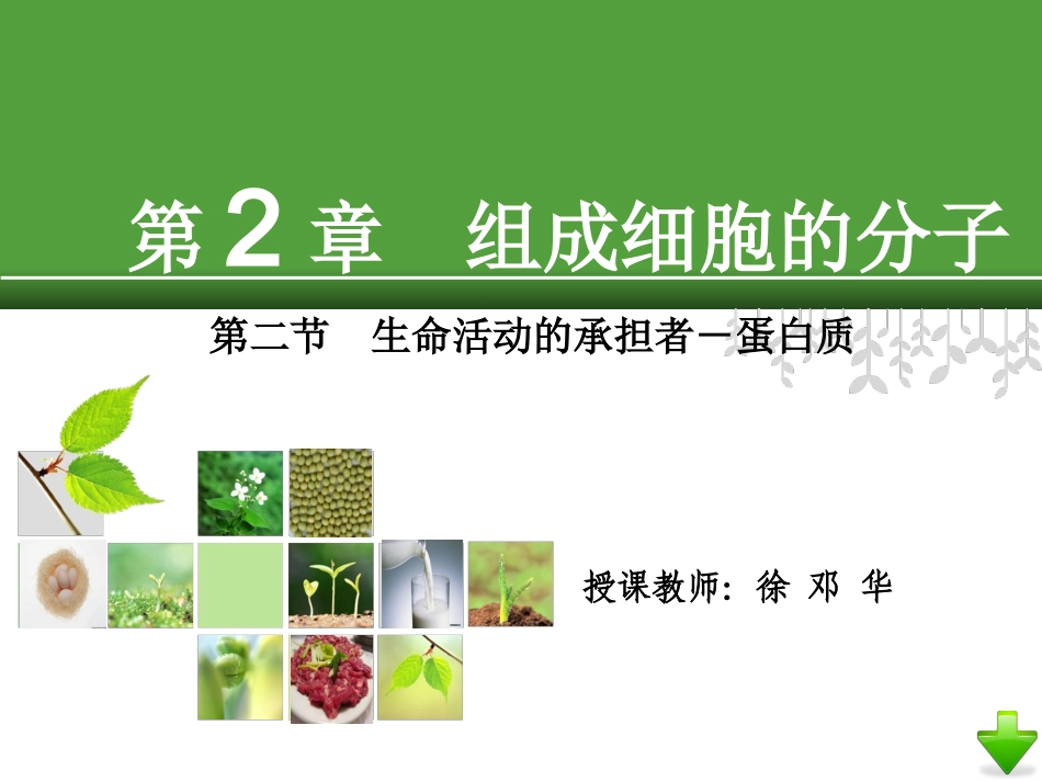 生命活动的主要承担者—蛋白质_第1页