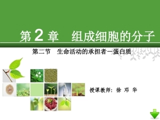 生命活动的主要承担者—蛋白质