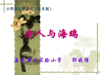 老人与海鸥郭晓维