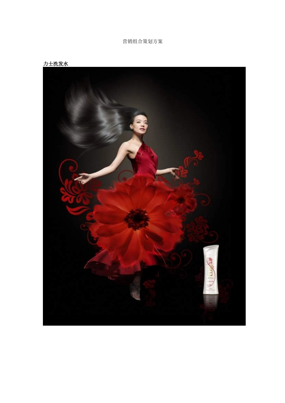 营销组合策划方案_第1页