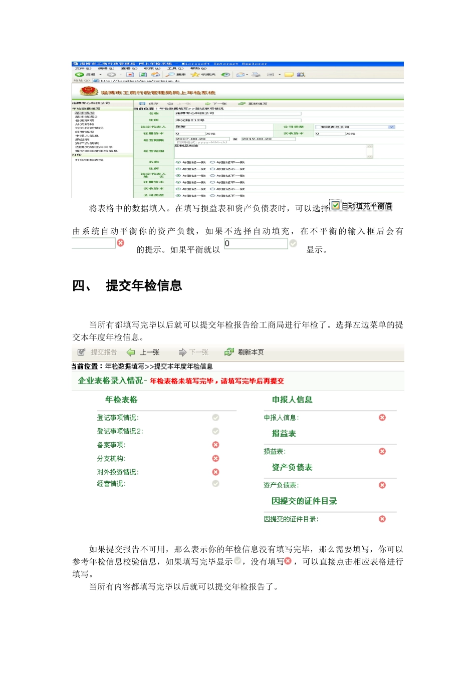 网上年检客户端操作指南-客户端操作手册_第3页