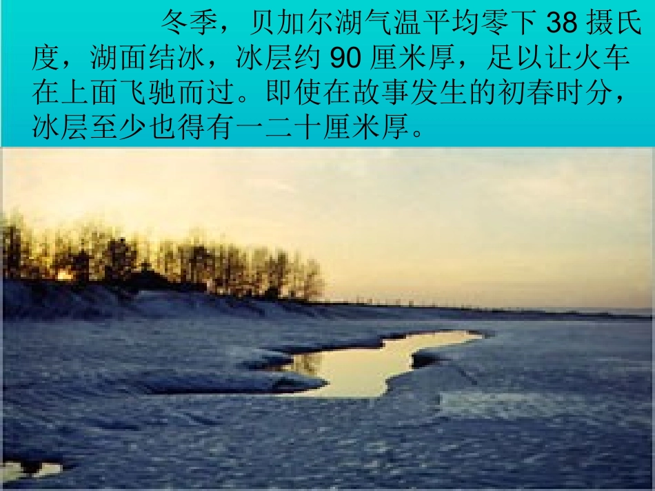 苏教版小学语文第八册《天鹅的故事》第二课时PPT_第3页