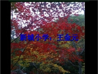 古诗春晓课件