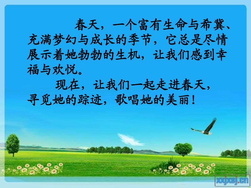 寻觅春天的踪迹（自己制作）_第2页