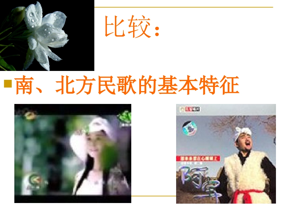 第五节飘逸的南国风_第3页