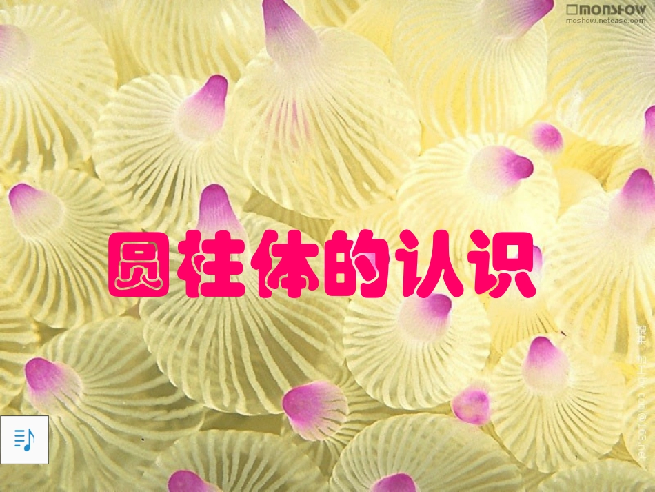 （中小学精品）圆柱体的认识PPT_第1页