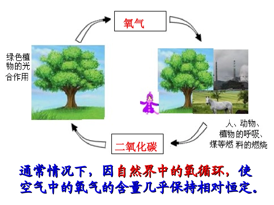 （公开课）性质活泼的氧气_第3页
