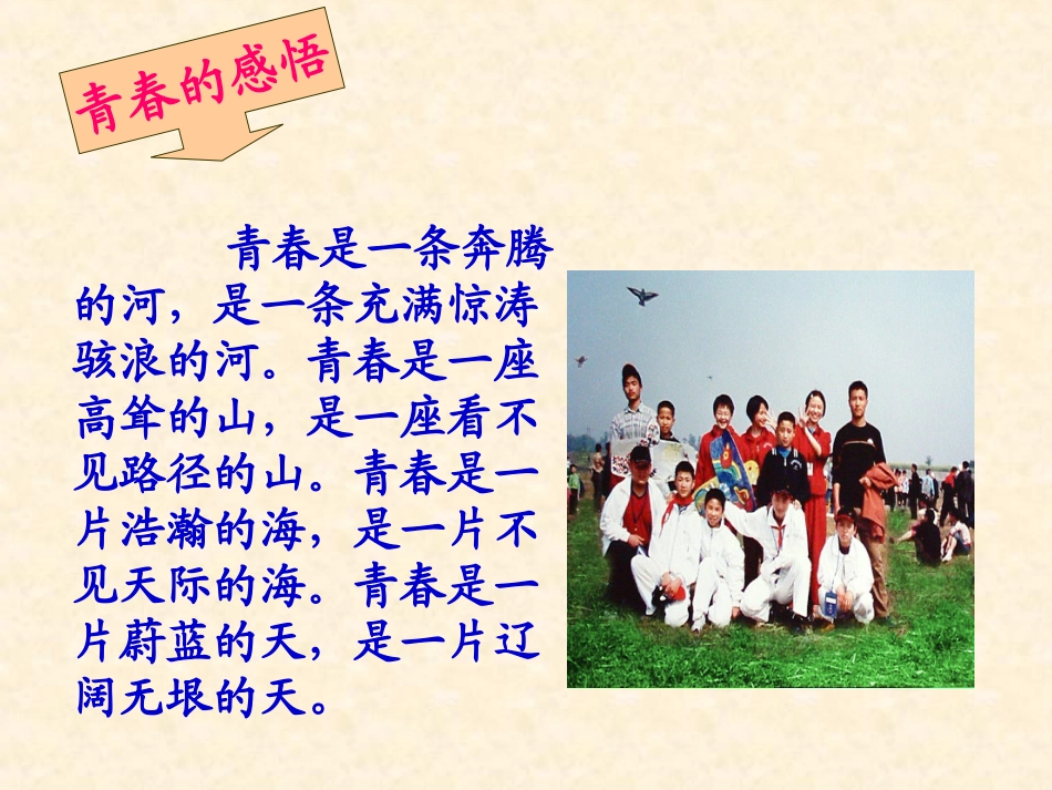 第三单元综合性学习·写作青春随想_第3页