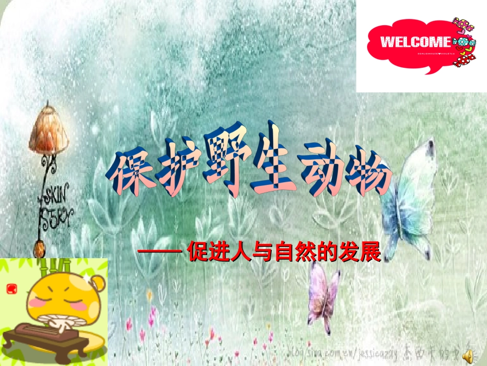 保护野生动物__第3页