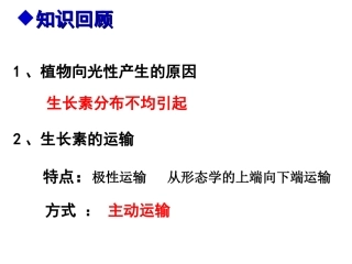 高中生长素的生理作用课件