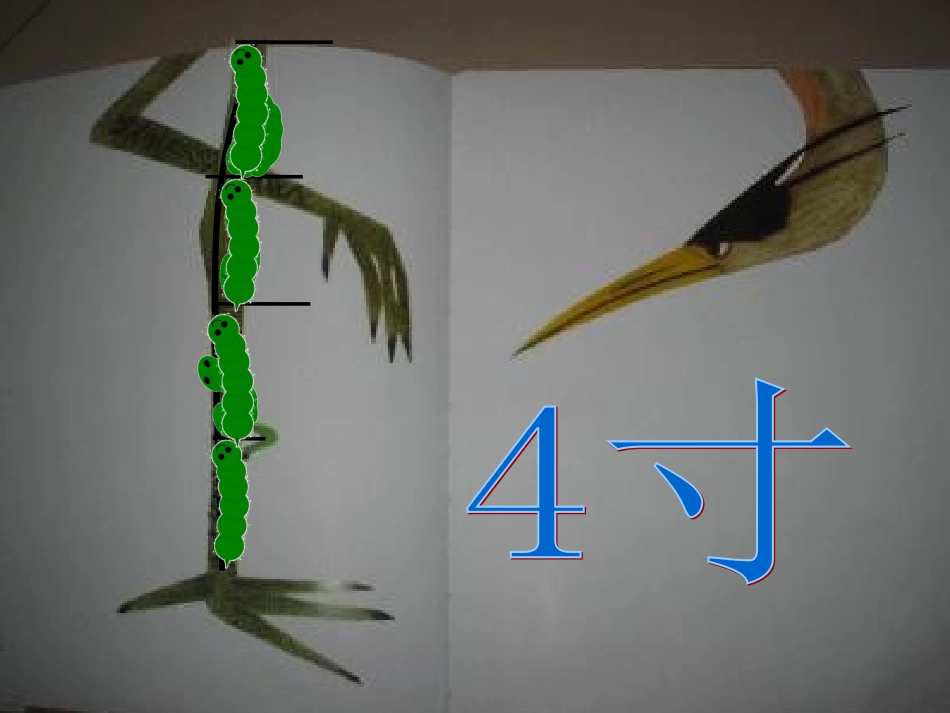 大班数学：一寸虫_第2页