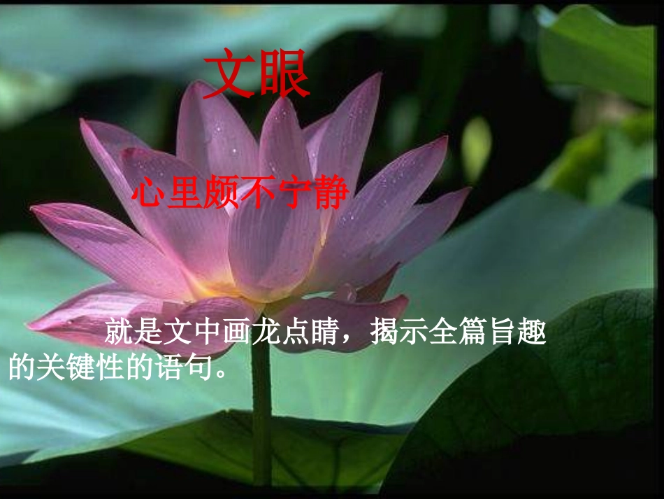 人教版必修二第一课《荷塘月色》课件_第3页