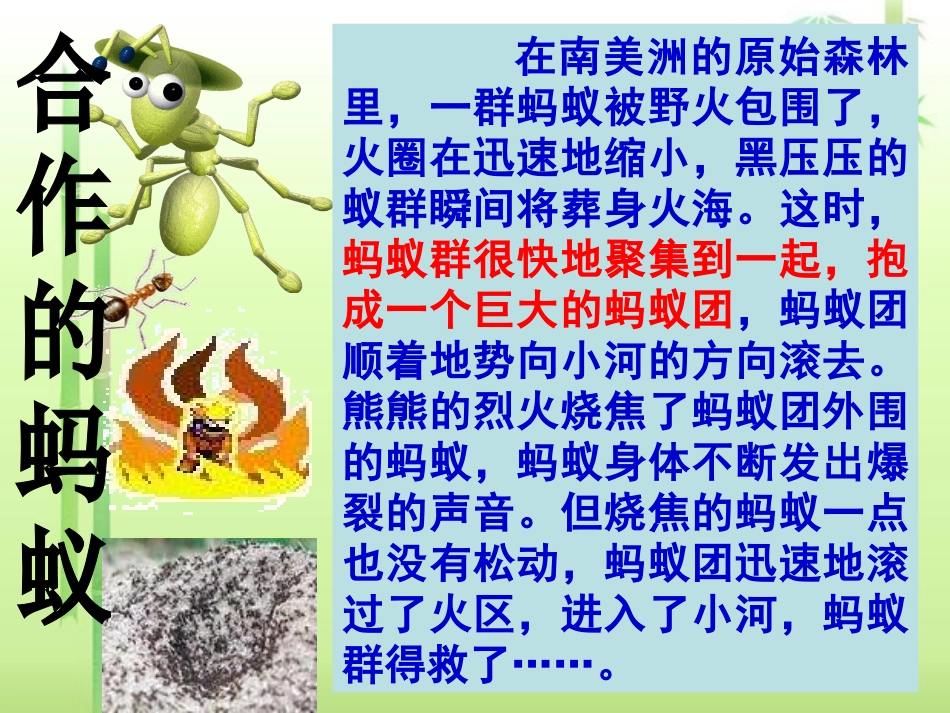 创建新集体(正式)_第3页