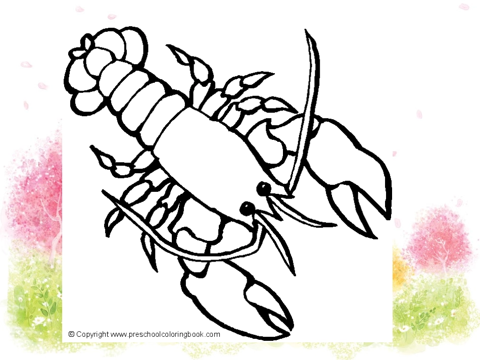 美术课线条画龙虾演示文稿_第2页