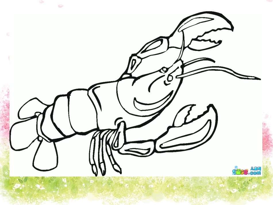 美术课线条画龙虾演示文稿_第3页