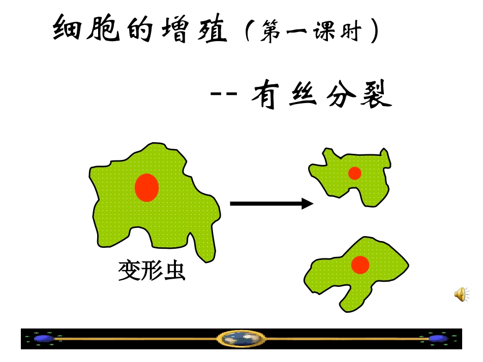 有丝分裂课件_第1页