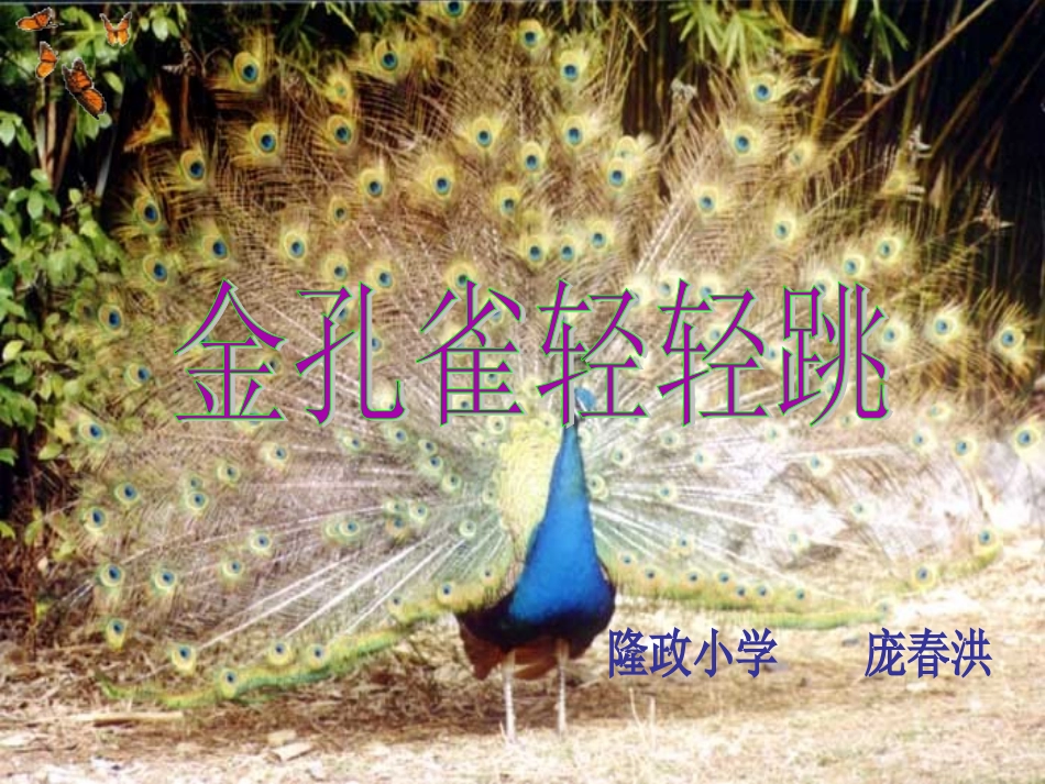 金孔雀轻轻跳_课件_第1页