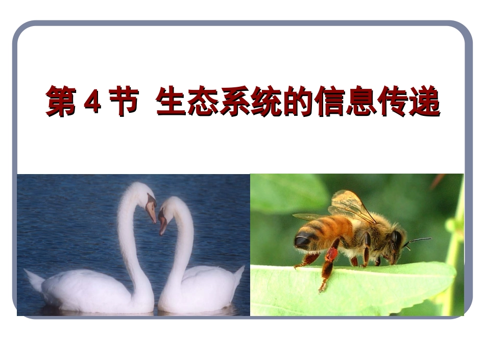 生态系统的信息传递_第1页