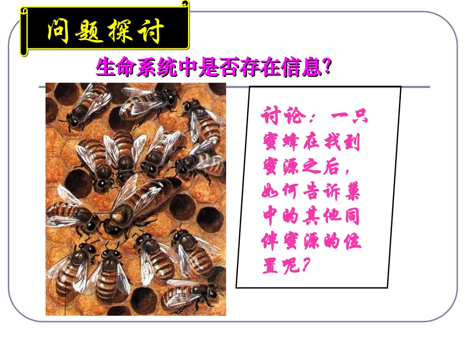 生态系统的信息传递_第2页