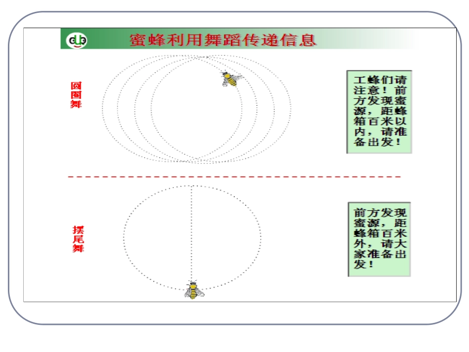 生态系统的信息传递_第3页