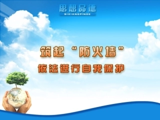 依法进行自我保护