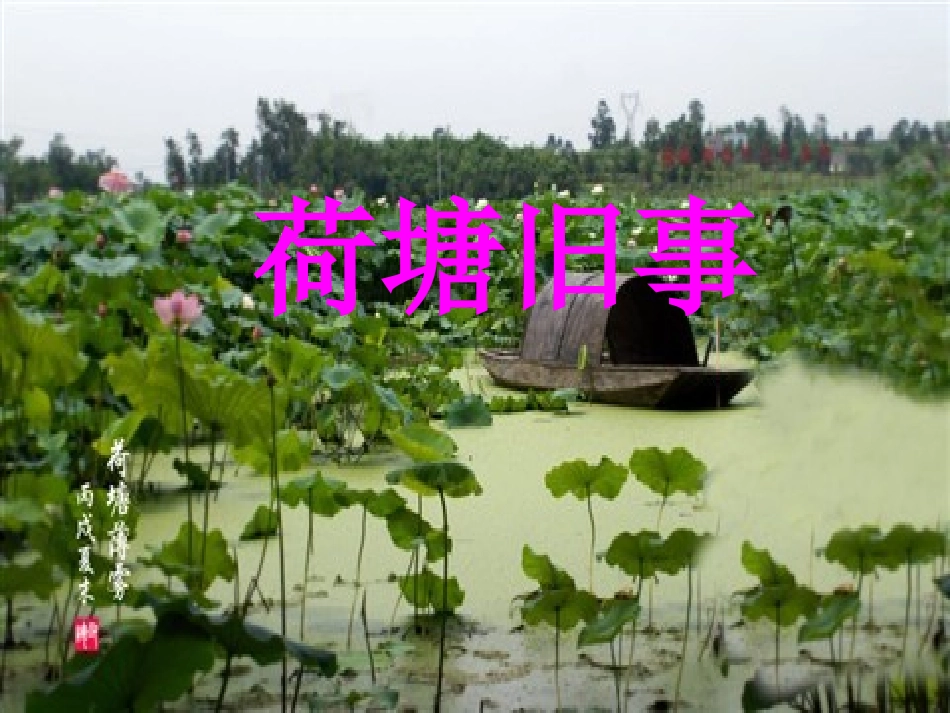 （中小学精品）荷塘旧事赛讲_第1页