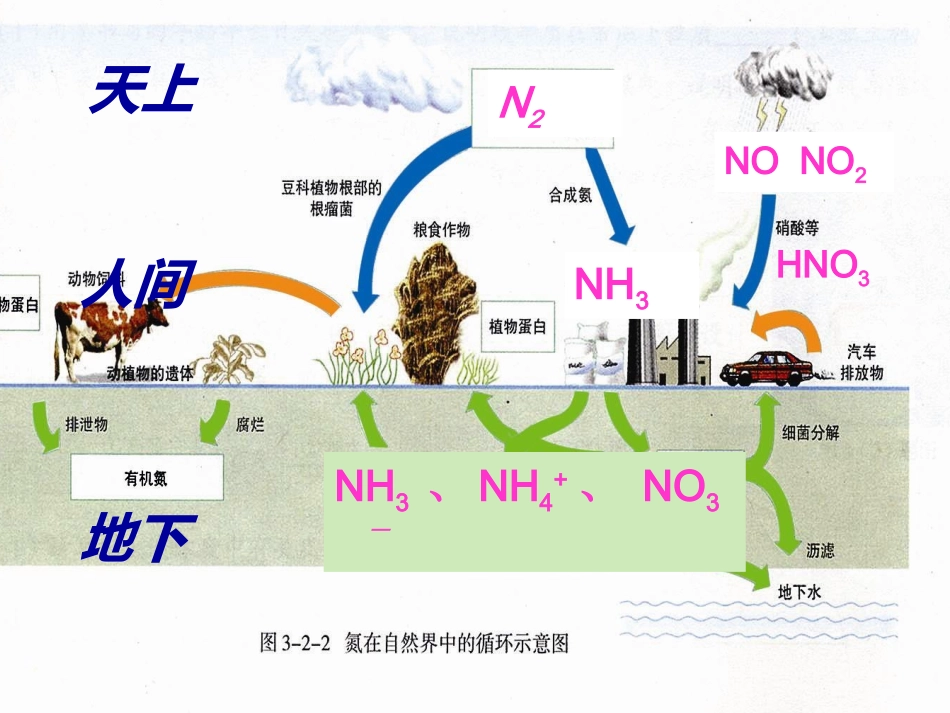 高三氮及其化合物公开课_第2页