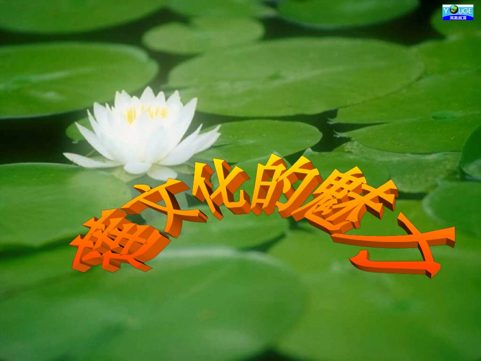 莲文化的魅力_第2页