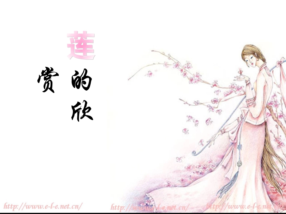 莲文化的魅力_第3页