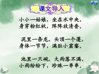 莲文化的魅力