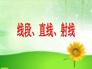 线段、直线、射线
