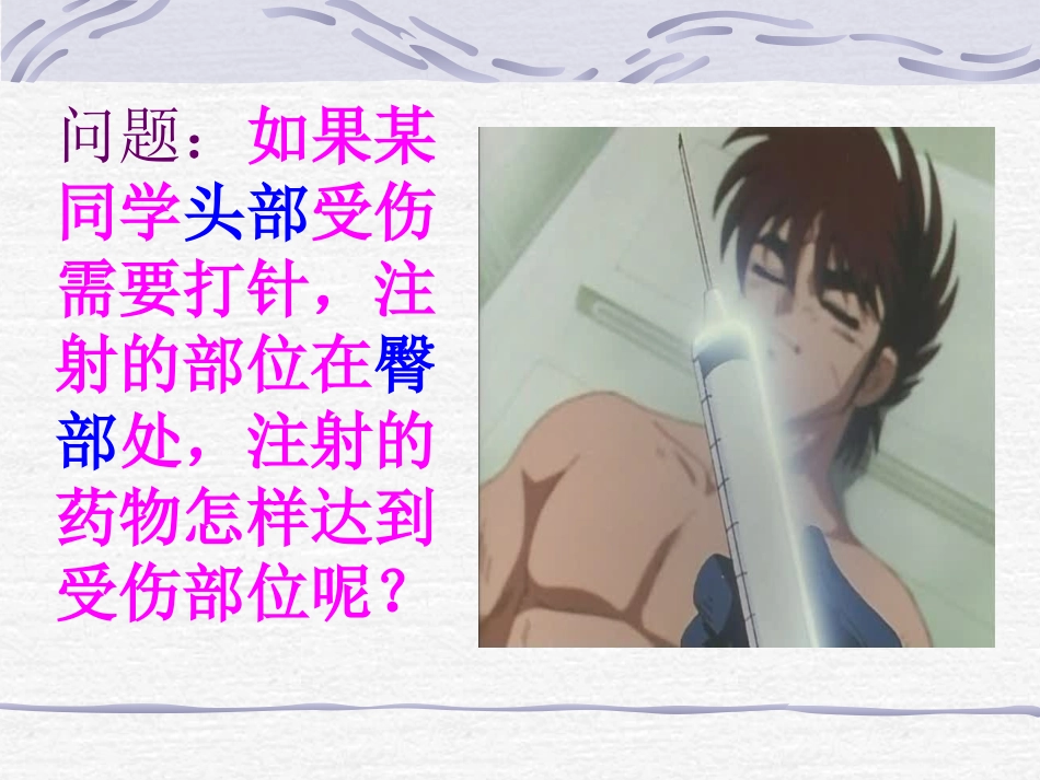 血液循环的途径_第3页