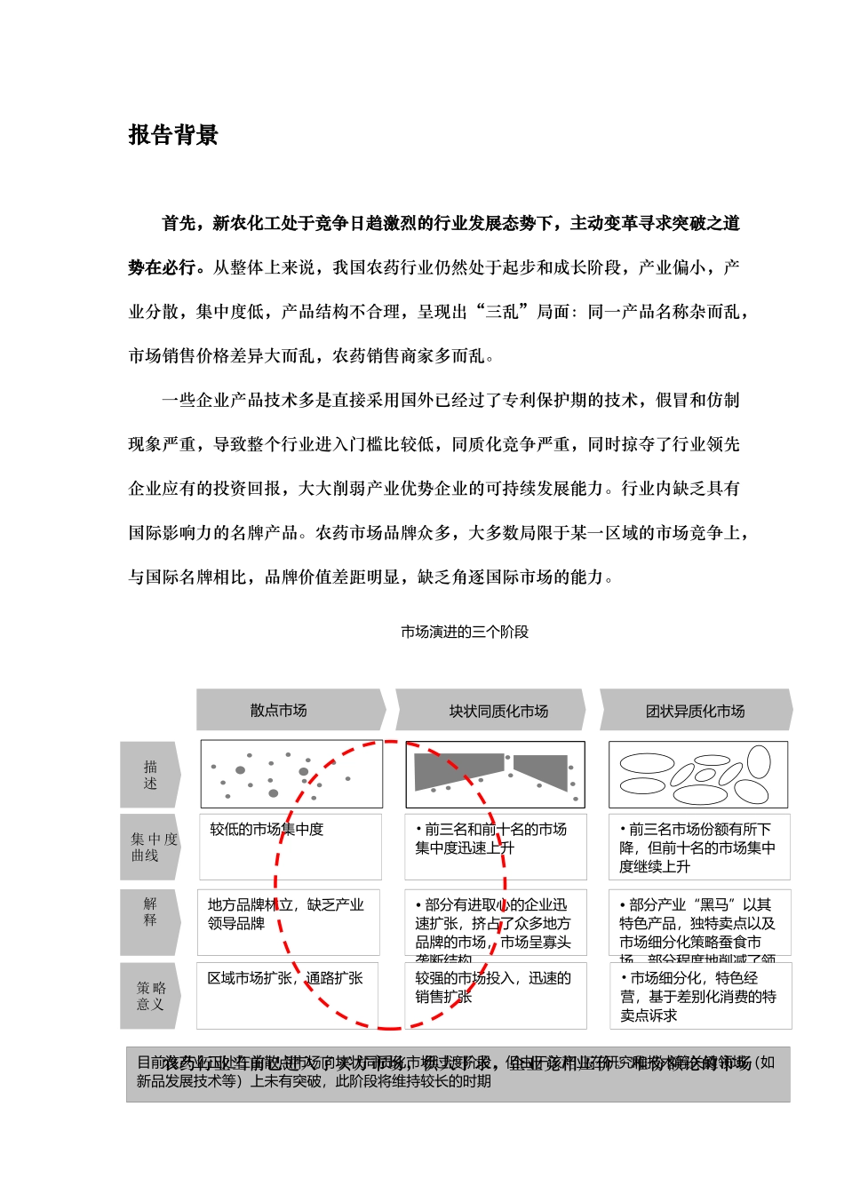 新农化工营销管理诊断研究报告_第3页