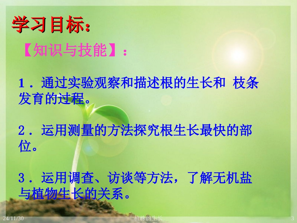 七年级生物上册-植株的生长课件_第3页