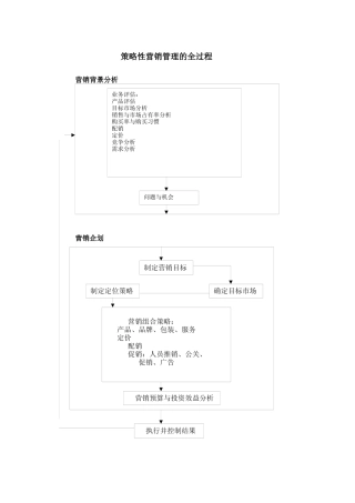 营销企划案例-饮料