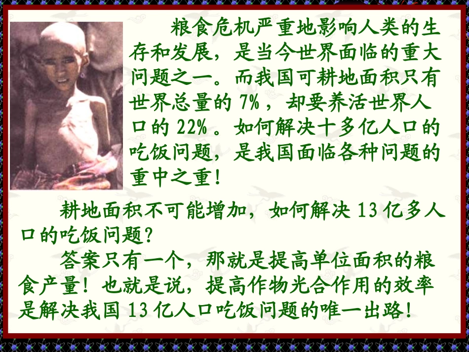 第一节（全部）光合作用_第2页