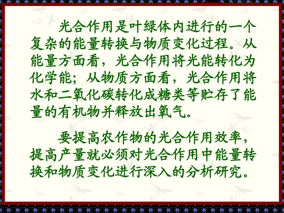 第一节（全部）光合作用_第3页