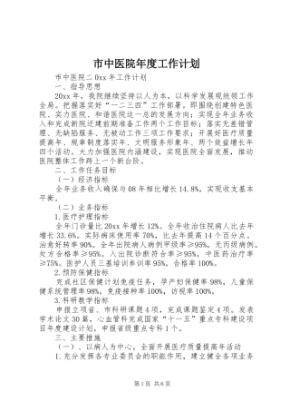 市中医院年度工作计划