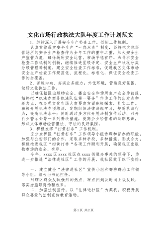 文化市场行政执法大队年度工作计划范文