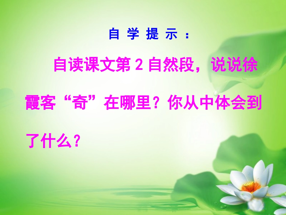 阅读大地的徐霞客_第3页