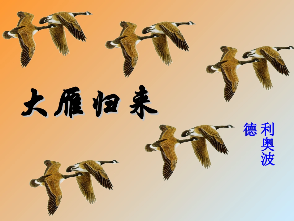 《大雁归来》_第1页