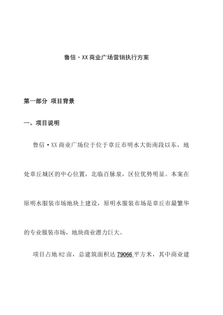 章丘市鲁信XX商业广场营销执行方案（ 19）