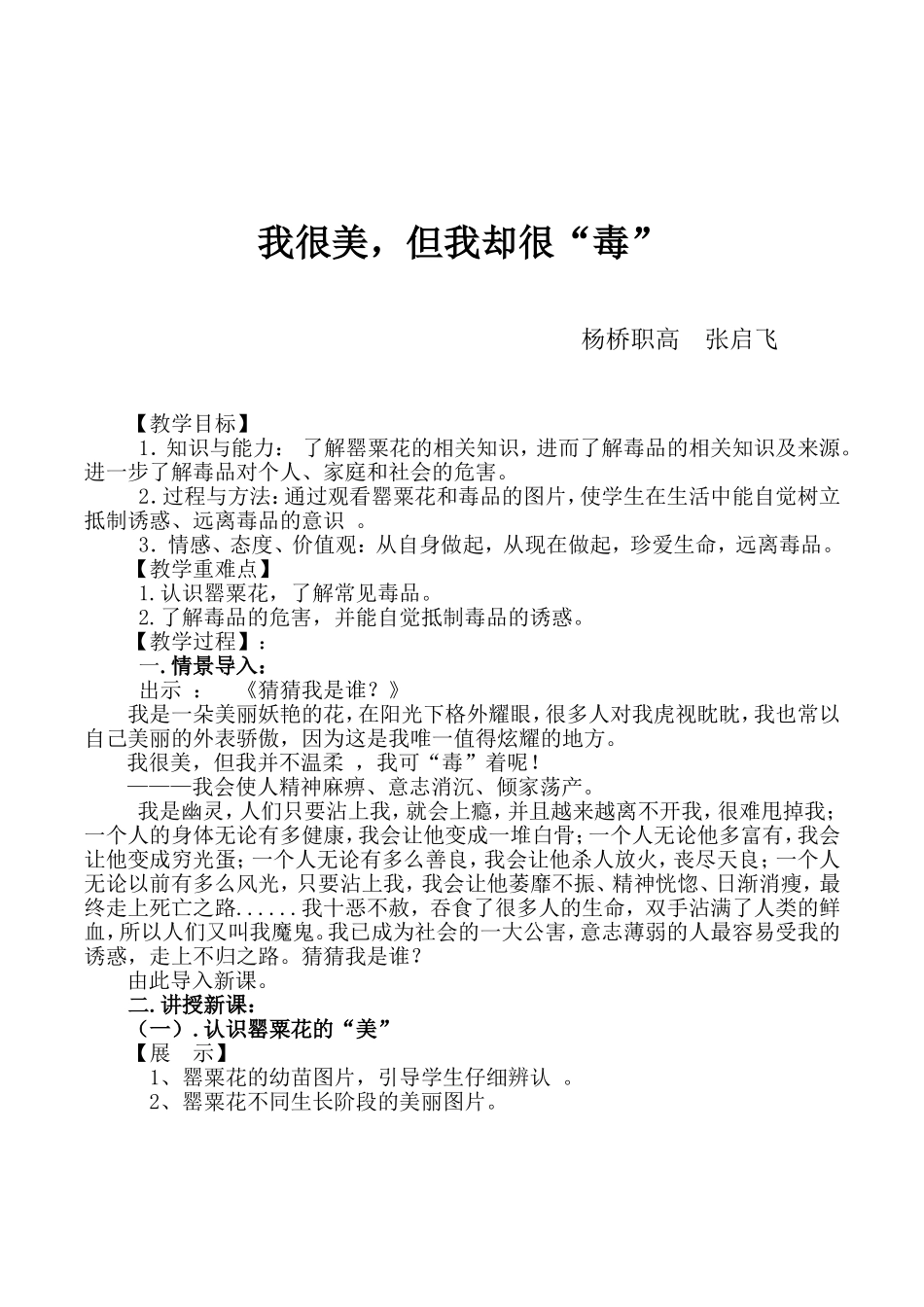 我很美，但我却很“毒”教学设计_第2页