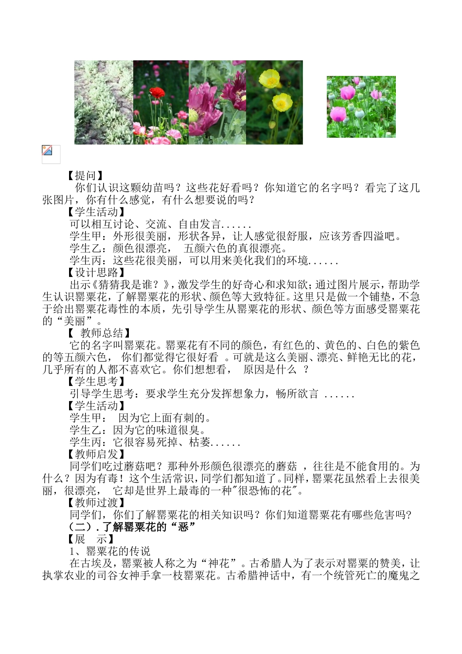 我很美，但我却很“毒”教学设计_第3页