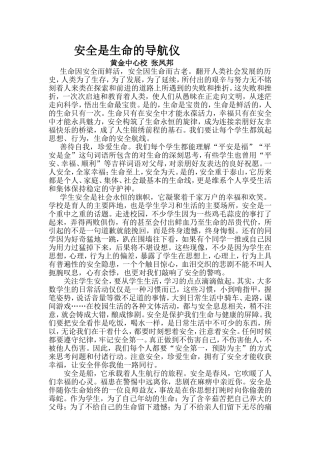 安全是生命的导航仪