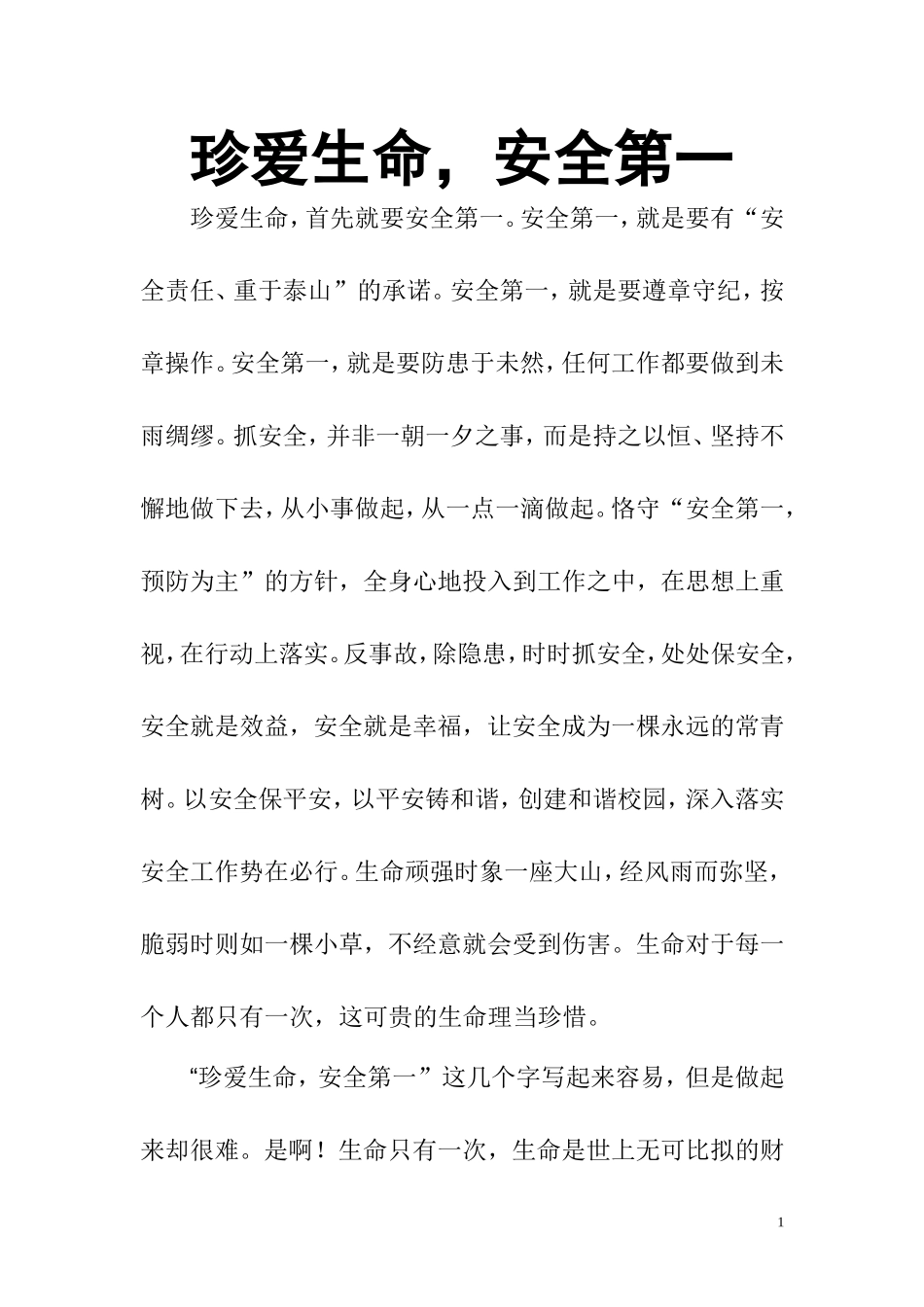 珍爱生命安全第一_第1页