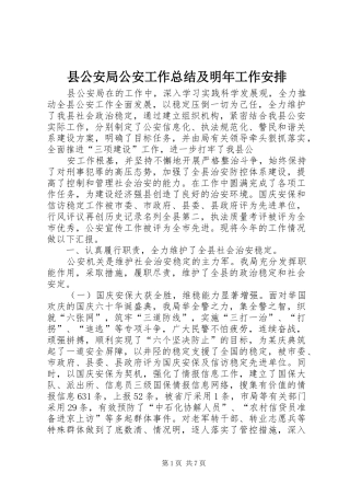 县公安局公安工作总结及明年工作安排