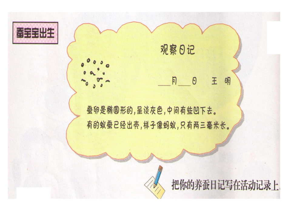 苏教版小学科学四年级下册给蚕宝宝记日记_第3页