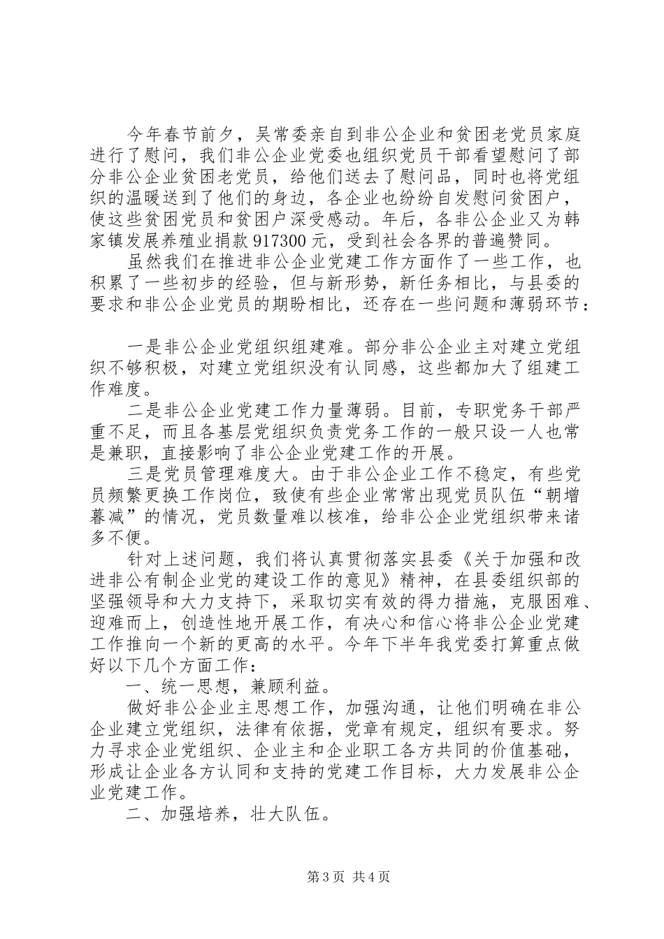 企业局党建工作总结及下半年工作计划_第3页