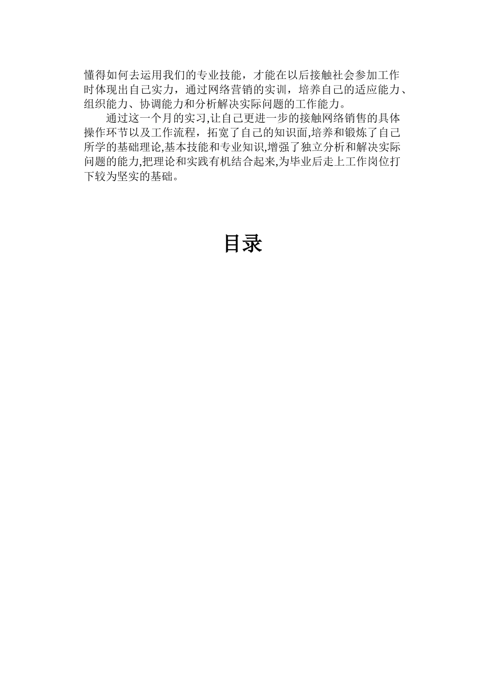 网络营销实习报告_第3页